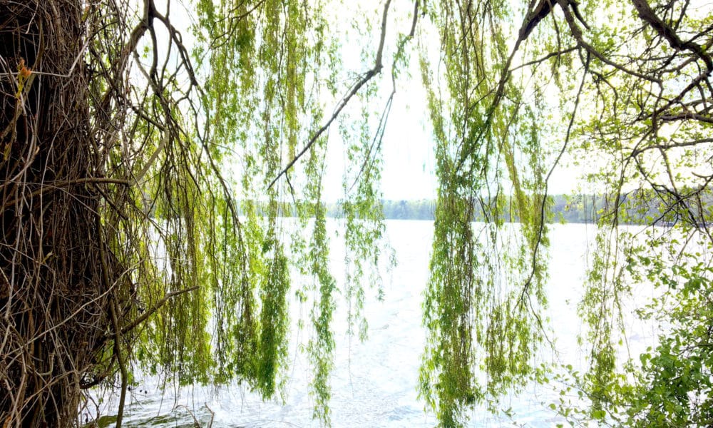 Schwangerschaft_Fehlgeburt_mamablog_Supermom