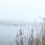 Schwangerschaft-Fehlgeburt-ssw6