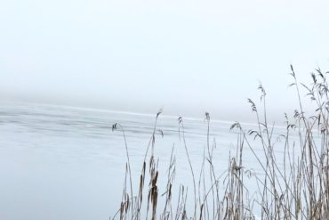 Schwangerschaft-Fehlgeburt-ssw6