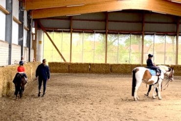 Fehmarn Glück auf dem Küselhof Supermom_Fehmarn_Kueselhof_Reiten
