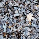Supermom_Mamablog_Winterspaziergang