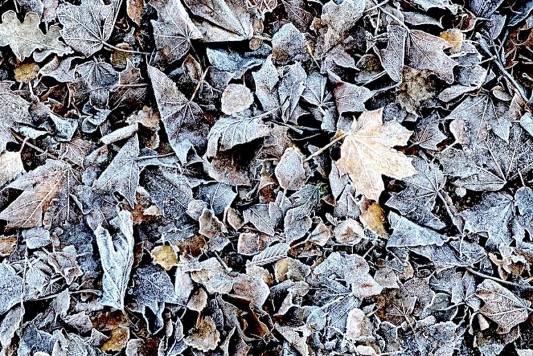 Supermom_Mamablog_Winterspaziergang