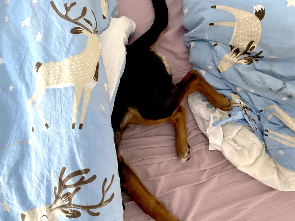 Unser Wochenende in Bildern: Ausflug nach Brandenburg Supermom_Mamablog_Wochenende