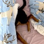Supermom_Mamablog_Wochenende