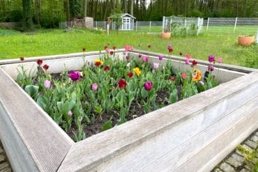 Supermom_Mamablog_Hochbeet