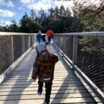 Usedom_Familienurlaub_Baumwipfelpfad Heringsdorf
