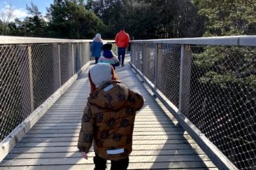 Usedom_Familienurlaub_Baumwipfelpfad Heringsdorf