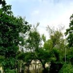 Supermom_Mamablog_Wannsee