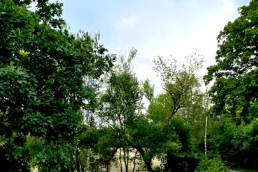 Supermom_Mamablog_Wannsee